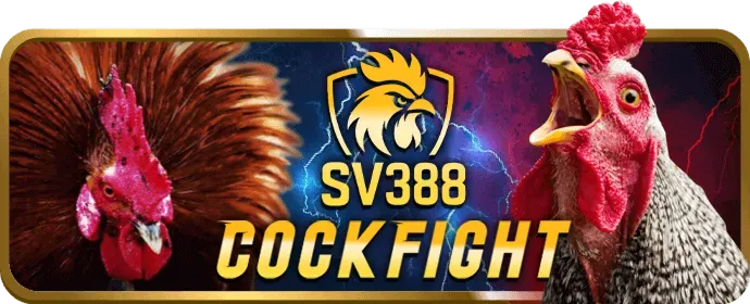 Tìm nút Đăng nhập trên Sportsbet